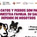 Exhorta Gobierno de Sonora a detectar a tiempo la rickettsiosis para una atención oportuna