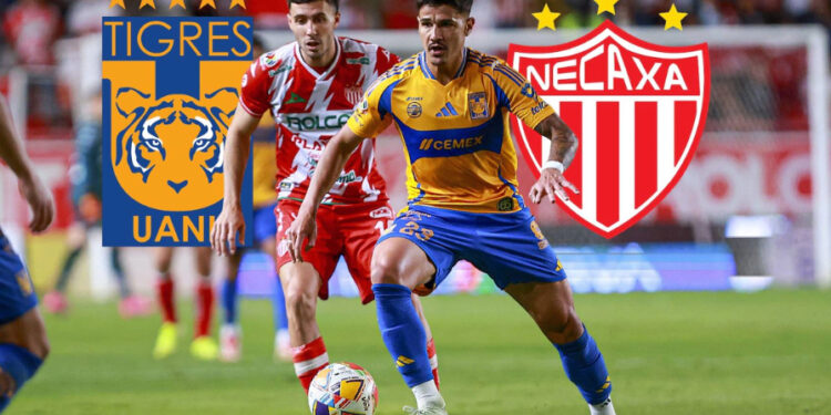 ¡Con el rosario en la mano! Tigres, a semifinales tras empatar con Necaxa en dramático encuentro