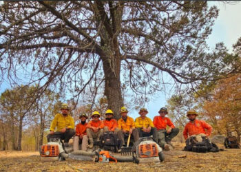 Gobierno de Sonora reporta 50 por ciento de control en incendio forestal en Yécora