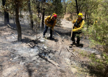 Gobierno de Sonora, en coordinación con instancias federales y municipales, mantiene combate a incendios forestales