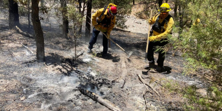 Gobierno de Sonora, en coordinación con instancias federales y municipales, mantiene combate a incendios forestales