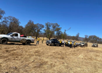 Liquida Gobierno de Sonora incendio forestal en Yécora en coordinación con autoridades federales y municipales