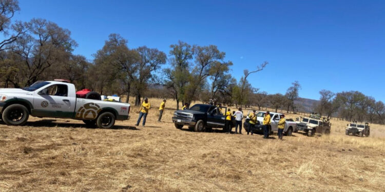 Liquida Gobierno de Sonora incendio forestal en Yécora en coordinación con autoridades federales y municipales