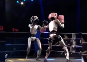 China estrena el primer campeonato de boxeo entre robots humanoides