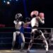 China estrena el primer campeonato de boxeo entre robots humanoides