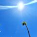 Advierte Protección Civil de SLRC de aumento de temperaturas