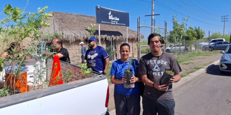 Cajeme Sostenible: VIVERO MÓVIL PROMUEVE LA EDUCACIÓN AMBIENTAL Y REFORESTACIÓN