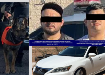 Binomios caninos del Gobierno de Sonora interceptan a personas armadas