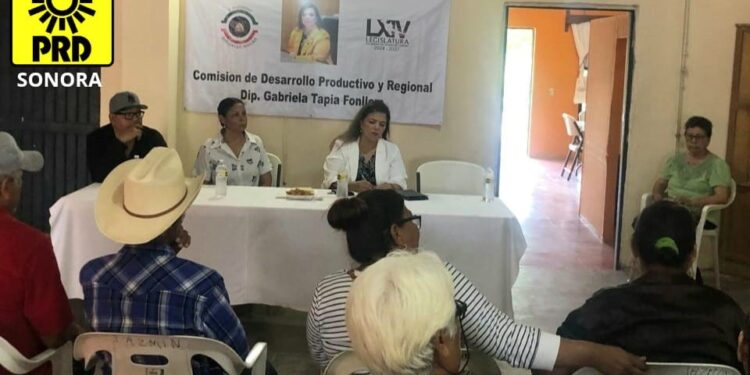 Diputada Gabriela Tapia Fonllem fortalece lazos con comunidades indígenas en el sur de Sonora