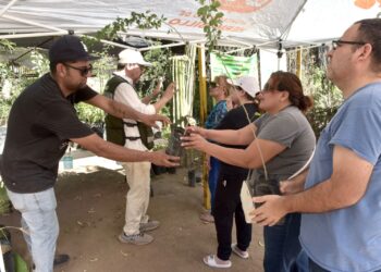 Realiza Gobierno de Hermosillo mega donación de plantas en el marco del Día Internacional del Árbol