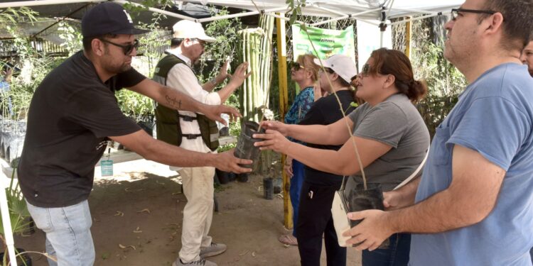 Realiza Gobierno de Hermosillo mega donación de plantas en el marco del Día Internacional del Árbol