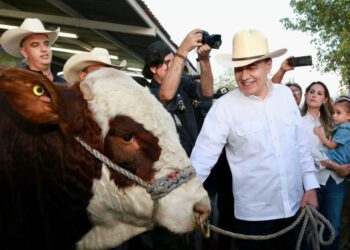Anuncia Gobernador Durazo próxima reapertura para cruce de ganado por Agua Prieta a Estados Unidos