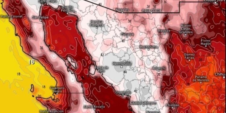 Alertan por calor extremo para el fin de semana, y lunes
