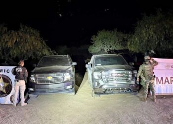 Asegura FGJES con AMIC y SEMAR armamento, droga, animales exóticos y vehículos tras cateo en Magdalena de Kino