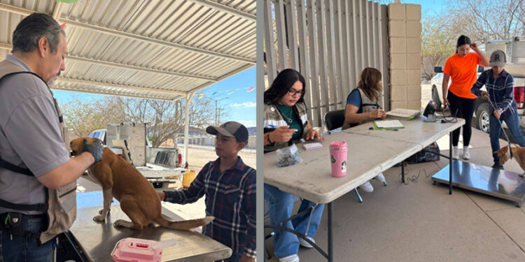 Gobierno de Sonora ofrece servicios en beneficio de animales de compañía en colonia de Hermosillo