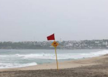 Ondea bandera roja en playa Zicatela, Oaxaca; bañistas ignoran advertencia