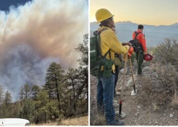 Bajo control un 80% del incendio forestal en Agua Prieta