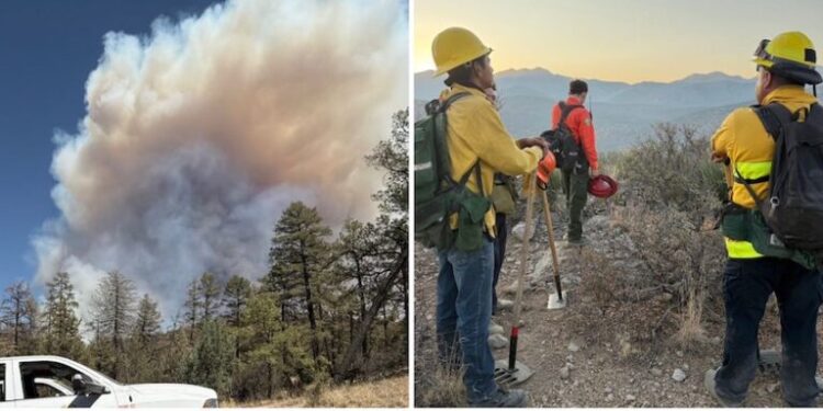 Bajo control un 80% del incendio forestal en Agua Prieta