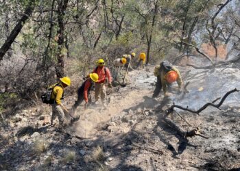 Gobierno de Sonora combate incendio forestal en Agua Prieta*