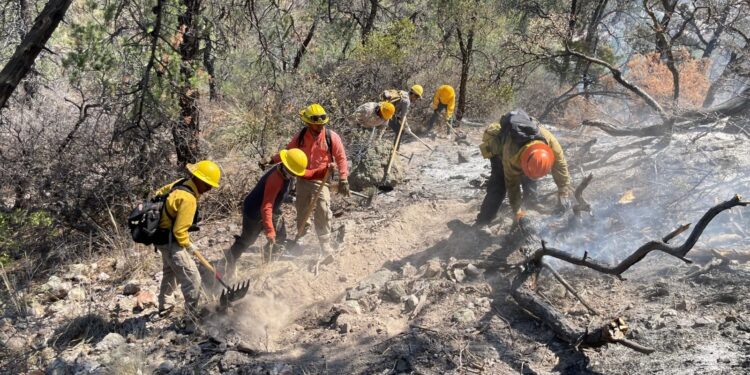 Gobierno de Sonora combate incendio forestal en Agua Prieta*