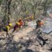 Gobierno de Sonora combate incendio forestal en Agua Prieta*