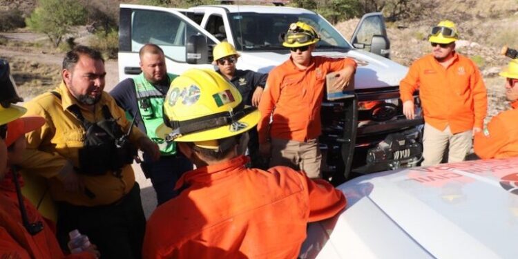 Llaman a la población a prevenir los incendios forestales