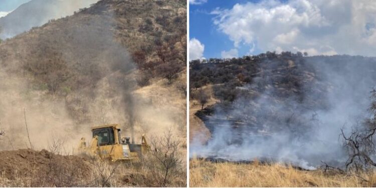 Logran importante avance en el control del incendio forestal en la Sierra Los Ajos