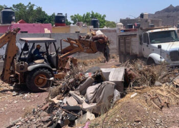 Mantienen limpieza en arroyos