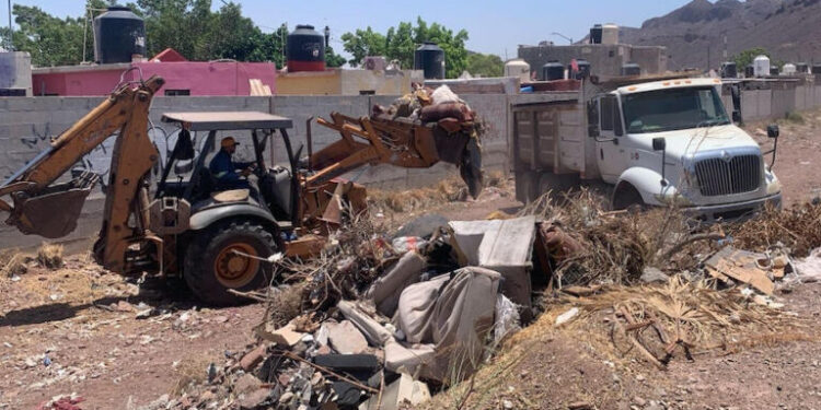Mantienen limpieza en arroyos