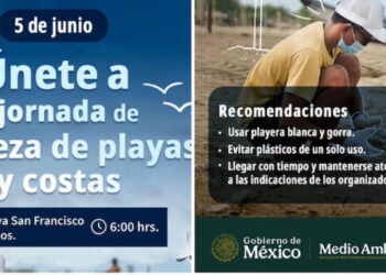 Este jueves la Jornada de Limpieza de Playas