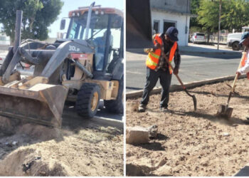 Continúan los trabajos de rehabilitación de camellones