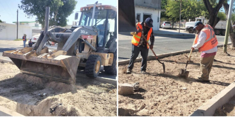 Continúan los trabajos de rehabilitación de camellones