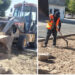 Continúan los trabajos de rehabilitación de camellones