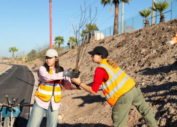 Gobierno de Sonora reforesta Bosque Urbano La Sauceda con apoyo ciudadano