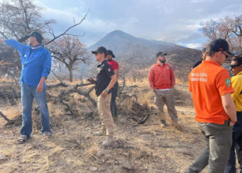Gobierno de Sonora logra 100 por ciento de control en dos incendios forestales