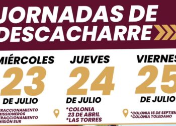 Jornada de Descacharre contra el dengue