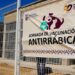 Invita Salud Pública a Jornada Gratuita de Esterilización para gatos y perros