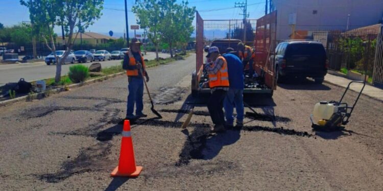 INFORME A LA COMUNIDAD de CANANEA