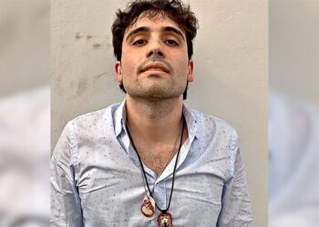 Ovidio Guzmán se declara culpable de tráfico de drogas en EU