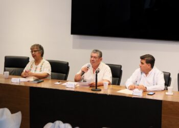 Comisión de Asuntos Indígenas sostiene diálogo con representantes de pueblos originarios.