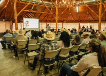 Gobierno de Sonora fortalece acciones de prevención contra el gusano barrenador en la entidad
