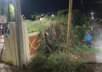 Atiende Gobierno de Hermosillo 34 reportes por lluvia presentada este domingo