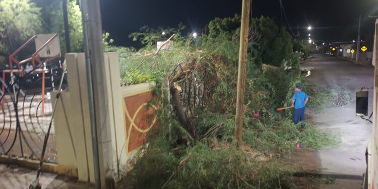 Atiende Gobierno de Hermosillo 34 reportes por lluvia presentada este domingo