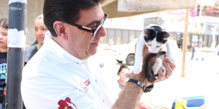 Lleva Adoptatón amor y responsabilidad con los animales