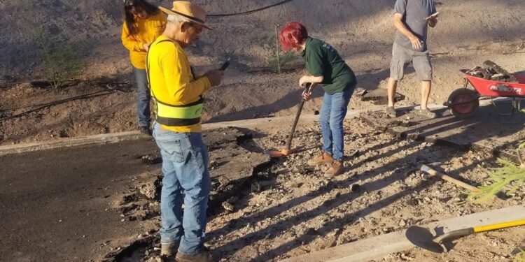 Ecologistas destruyen la pista de asfalto del Parque LA SAUCEDA