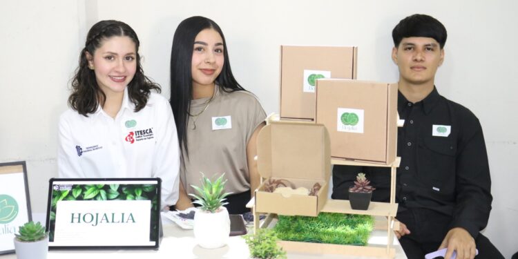 Impulsa Gobierno de Sonora el talento emprendedor de jóvenes universitarios con InnovaTecNM: Itesca