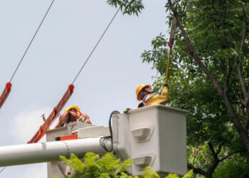 Garantizan CFE y Cenace suministro de energía a todos los mexicanos