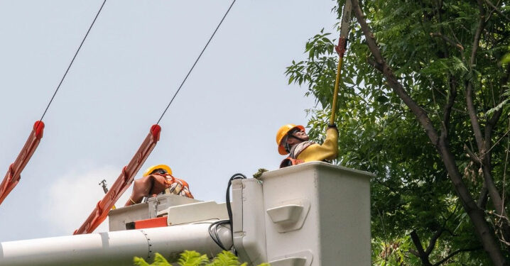 Garantizan CFE y Cenace suministro de energía a todos los mexicanos