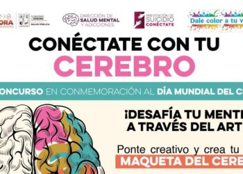 Invita Gobierno de Sonora a participar en el concurso “Conéctate con tu cerebro”