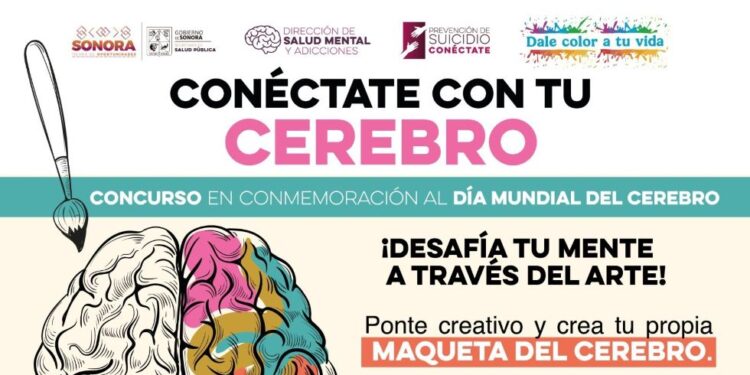 Invita Gobierno de Sonora a participar en el concurso “Conéctate con tu cerebro”